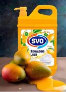 WhatsApp-Image-2025-01-23-at-105050