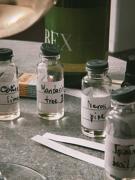 WhatsApp-Image-2025-02-03--at-130332