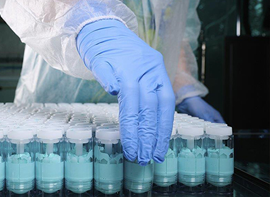 GSS Cosmetics объявляет о назначении Евгении Симаковой на должность генерального директора