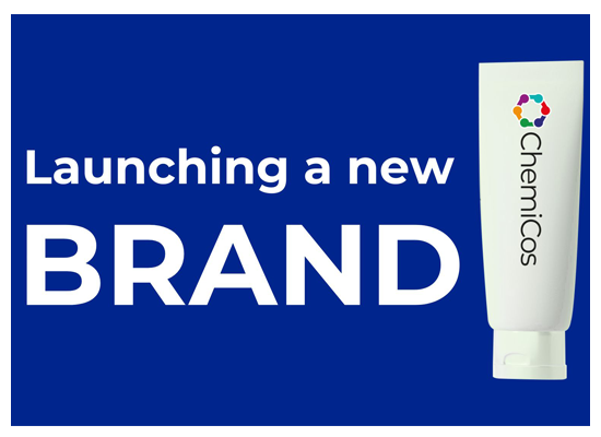 Guide: How to Launch a new Brand (PL) in Household Cleaning Sector 